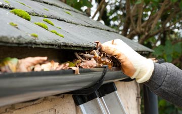 gutter cleaning West Park