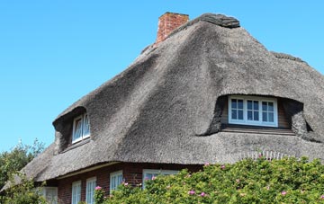 thatch roofing West Park